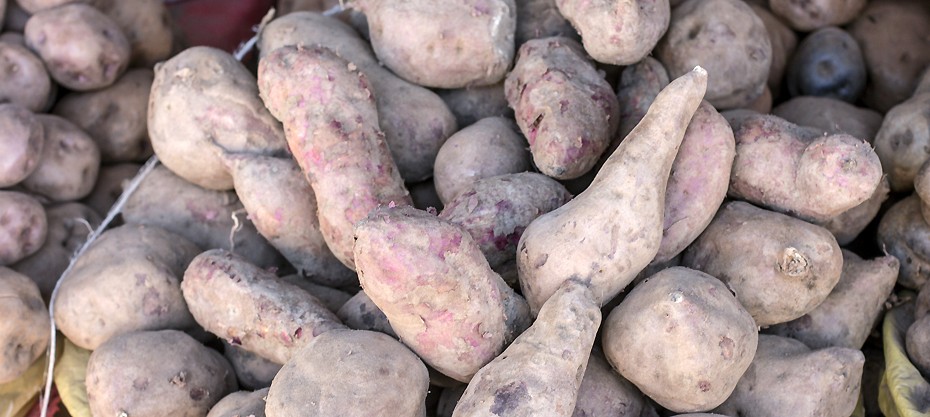 Purple Potatoes