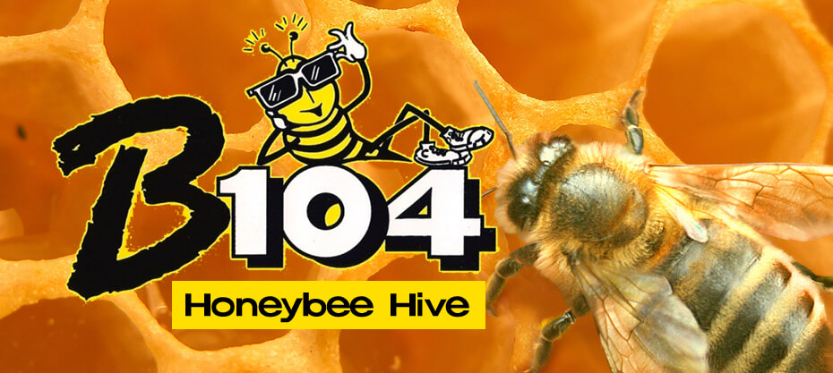 B104 Honeybee Hive