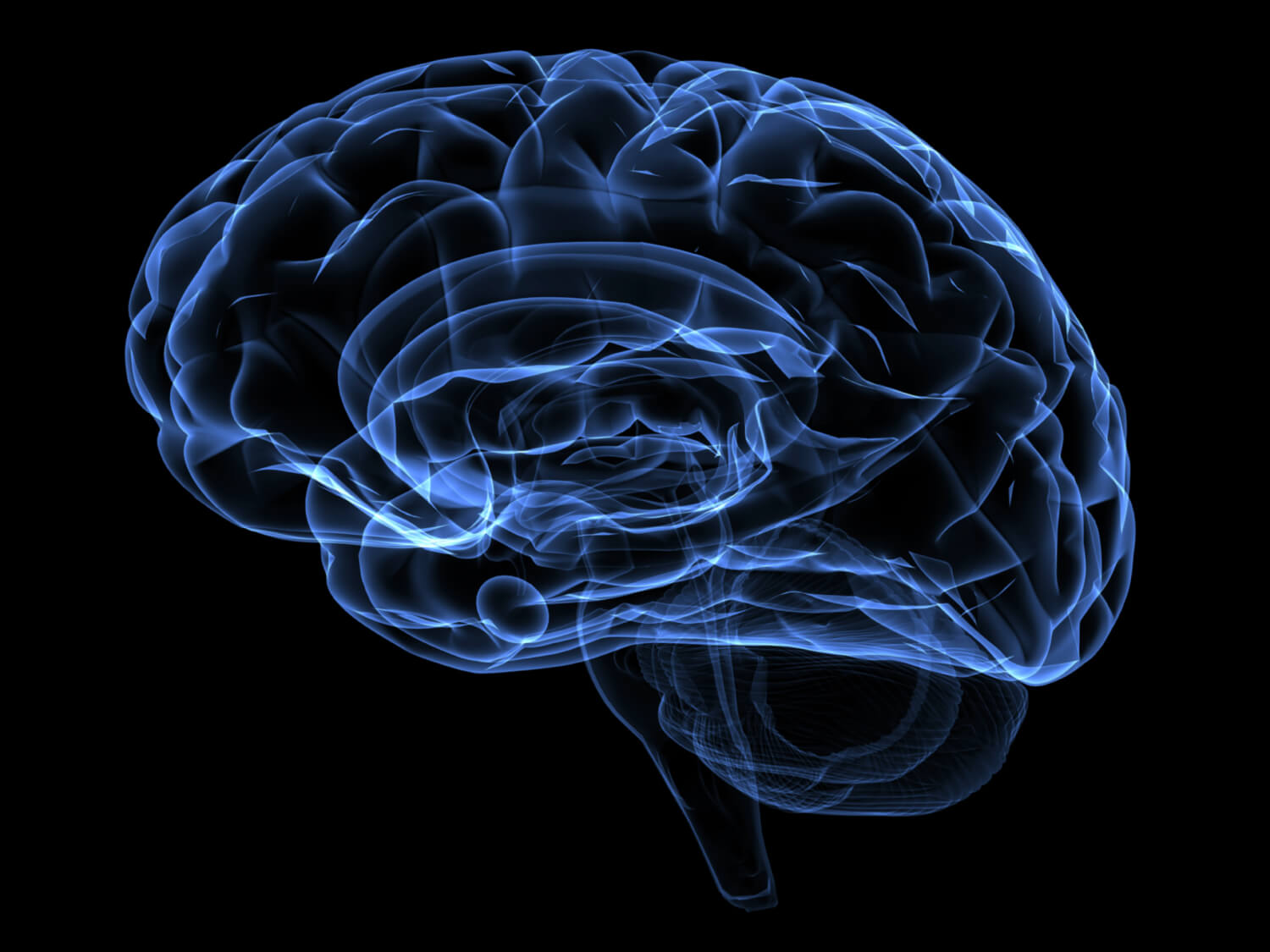 Brain party da vinci science center da vinci science center
