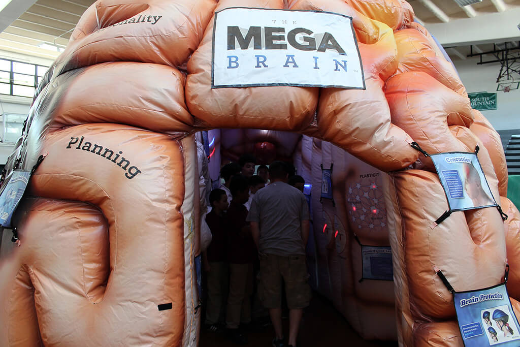 The MEGA Brain, a giant, inflatable brain that you can walk through.