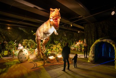 Large animatronic T-Rex dino within Dinos Alive exhibit