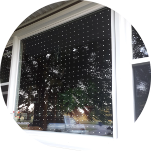 Photo showing the use of bird-friendly window markers on a residential window