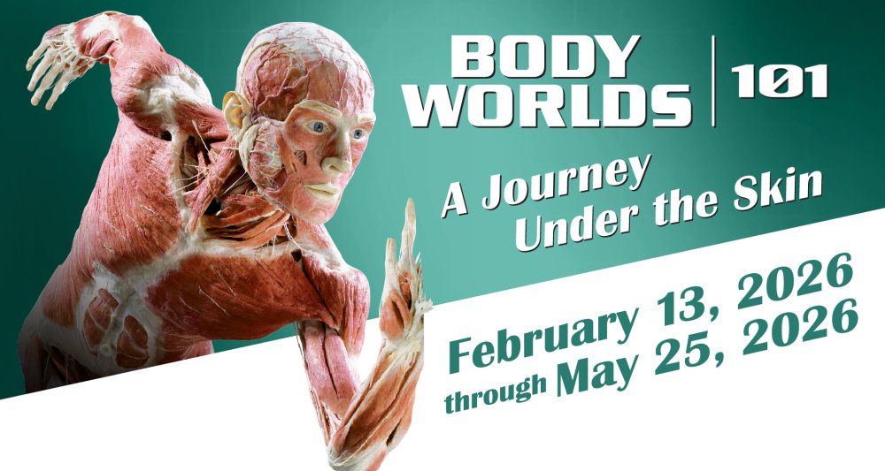Body Worlds 101