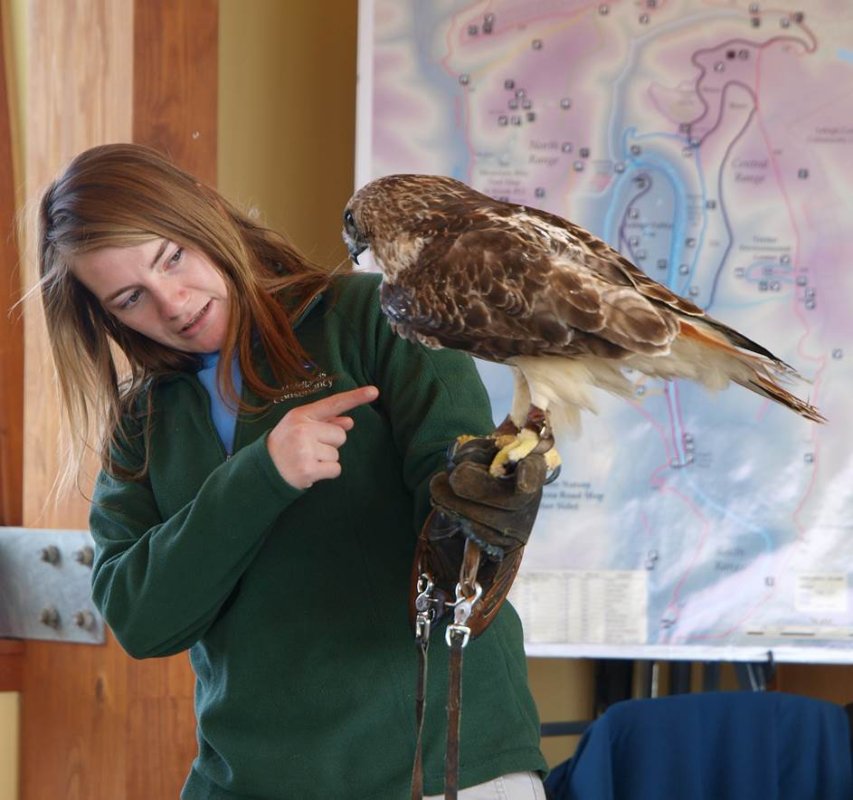 Wildlife Weekends