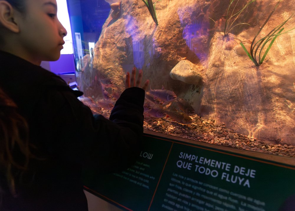 Underwater Wonders School’s Out Science Camp