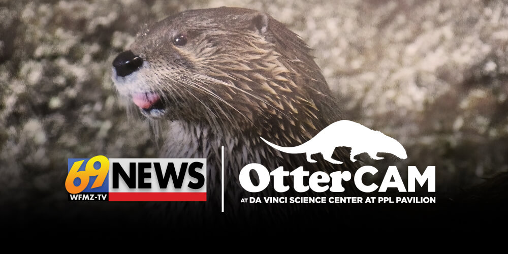 Da Vinci Science Center and 69 WFMZ-TV to Launch Live Otter Cam
